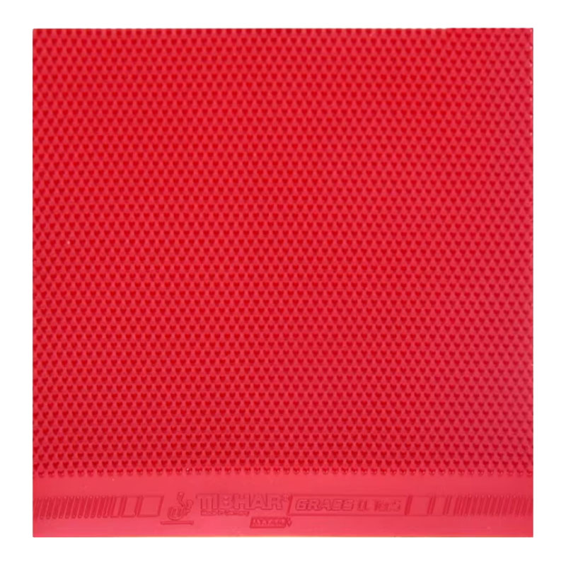 TIBHAR Grass D.TecS Table Tenn - Table Tennis Germany review and price