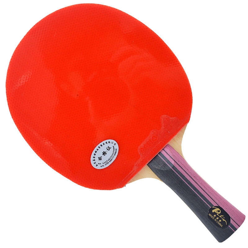 Original PALIO 3 Stars Carbon  - Table Tennis History review and price